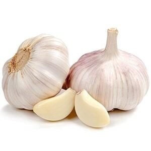GARLIC 07032000