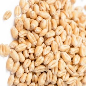 WHEAT HSN 10019910