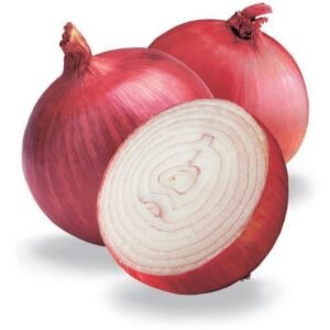 ONION 07031010