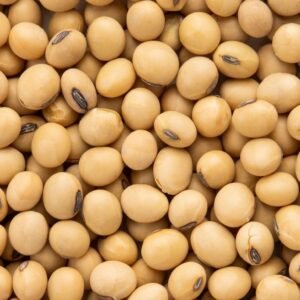 SOYA BEAN 12019000