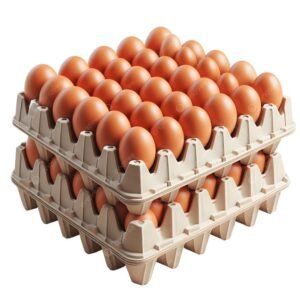 egg_04072100