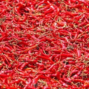 DRIED CHILI PEPPER 09042110